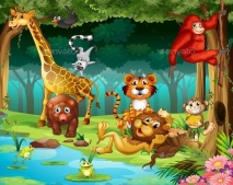 Animals and Forest